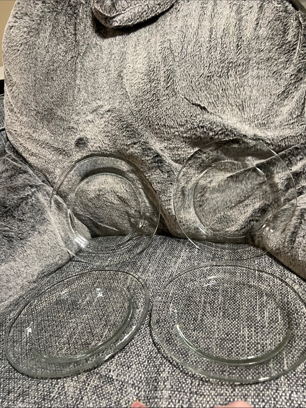 Clear Glass Plates - Set of 4